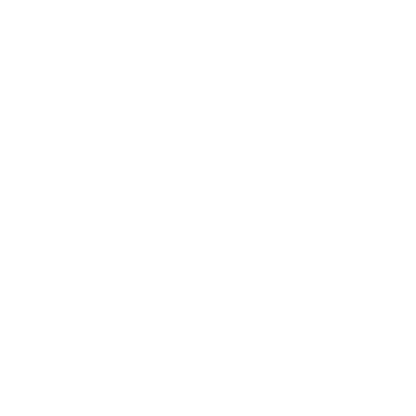 C.E.I.S. Logo